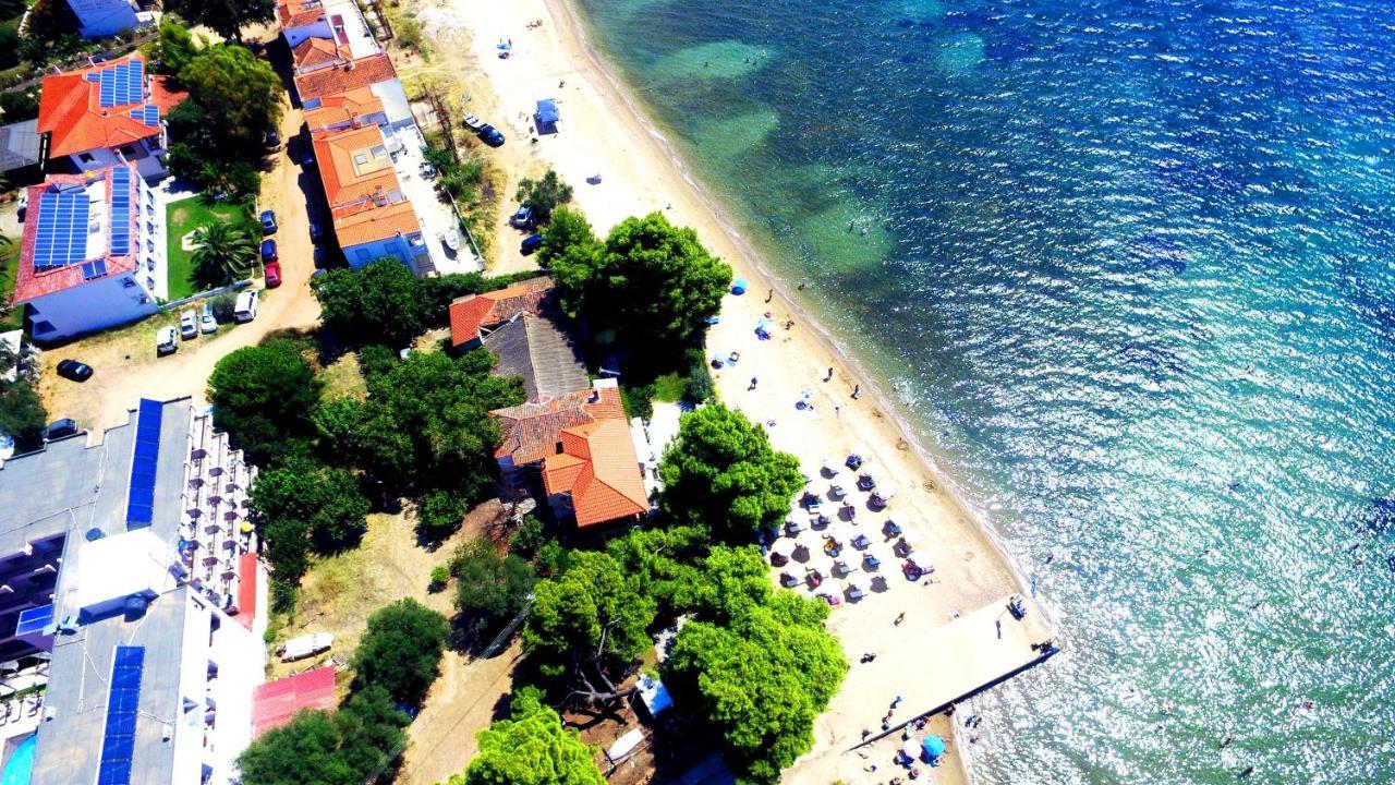 Golden Beach Hotel Metamorfosi  Zewnętrze zdjęcie