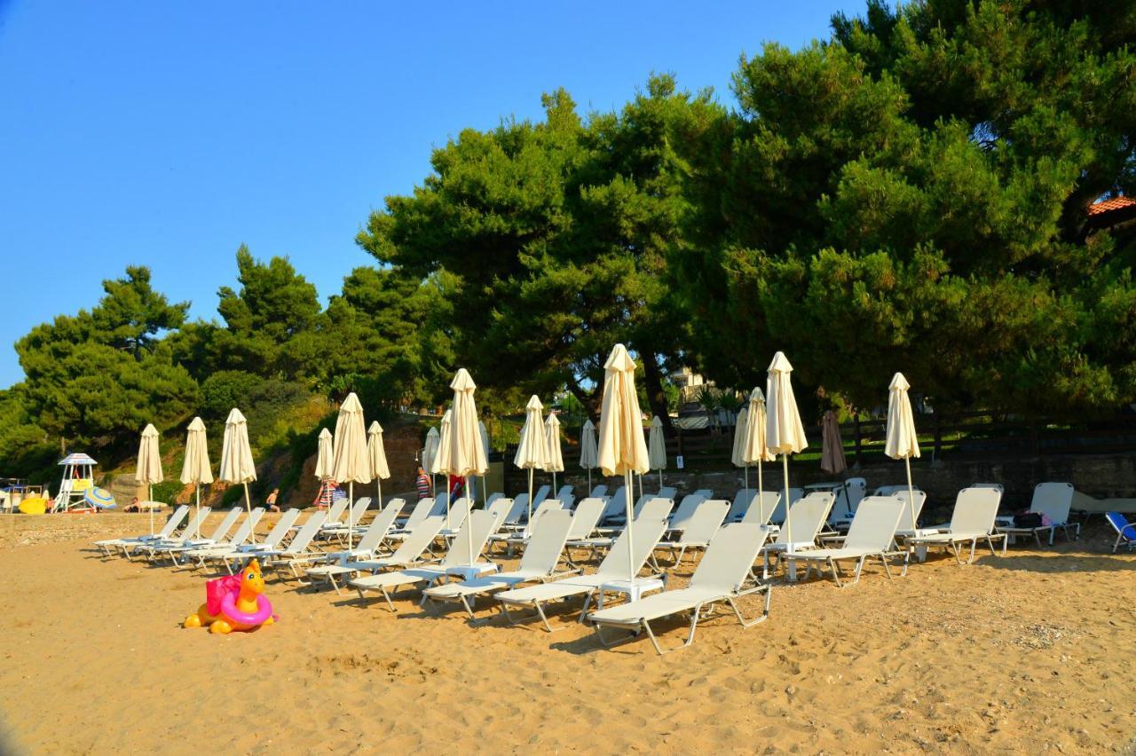 Golden Beach Hotel Metamorfosi  Zewnętrze zdjęcie