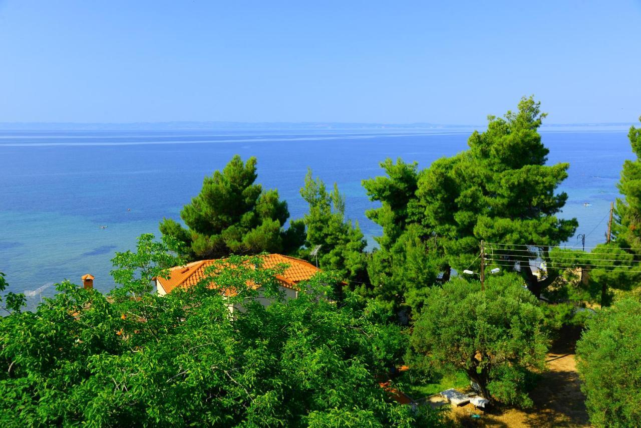 Golden Beach Hotel Metamorfosi  Zewnętrze zdjęcie